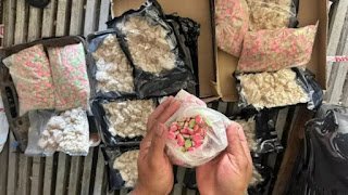 Ruta 14: decomisaron 8 kilos de metanfetaminas que pasaban en encomienda por Entre Ríos
