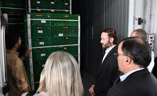 Producción citrícola regional llega al mercado ecuatoriano