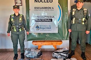 Concordia: Gendarmería secuestró más de 8 kilos de marihuana enviados desde Misiones hacia Santa Cruz