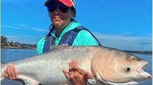 Asociación de Guías de Pesca alertan por la aparición de carpas plateadas en el río Uruguay