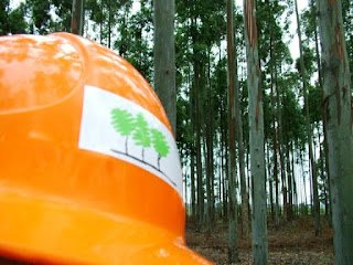 Entre Ríos se prepara para las 39° Jornadas Forestales del INTA y AIANER