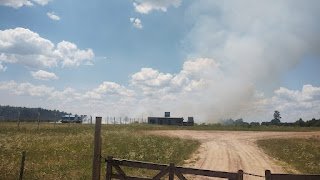 Bomberos Voluntarios trabajan en un incendio forestal en Estancia Grande