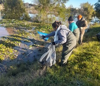 Tras la bajante del río Uruguay, la Municipalidad realiza reconexiones de medidores y limpieza del arroyo Manzores