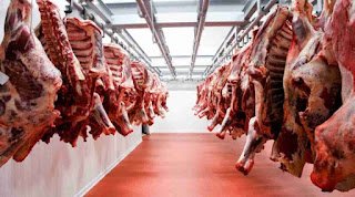 Las exportaciones de carne vacuna cayeron un 25,4% interanual