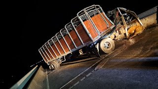 Choque en el Puente Victoria – Rosario: una joven fue golpeada por un toro y sufrió fractura de cráneo