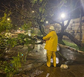 La Municipalidad interviene ante la caída de árboles, ramas y postes por la tormenta y asiste a familias afectadas