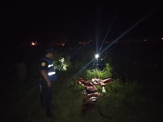 Dos detenidos por el robo de ganado en la zona rural de Concordia