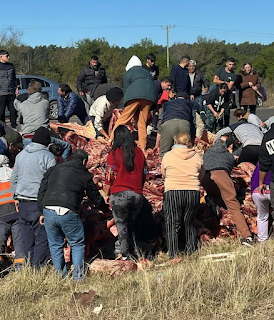 Volcó un camión con reses en ruta 14 y la gente se llevó parte de la carga