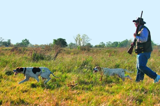 Entre Ríos habilita la temporada de caza menor 2025 con menos especies