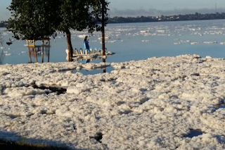CTM informó a qué altura podría llegar el río en Concordia y Salto y aclaró por qué se ve espuma en la costa