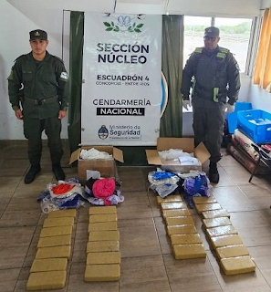 Efectúan la entrega vigilada de una encomienda con 22 kilos de marihuana y allanan cuatro domicilios