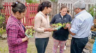El programa de “Huertas Familiares” continúa con la entrega de plantines en los barrios