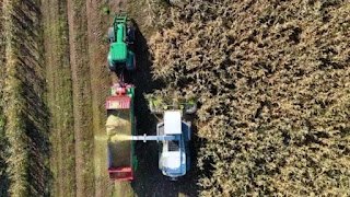 Fin de retenciones cero: productores en alerta, con malestar y dudas sobre el precio de la soja en el mercado local