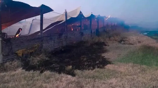Incendio en un galpón rural de Villaguay dejó 500 cerdos muertos