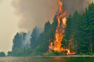 Declaran la emergencia ígnea en cuatro provincias por incendios en la Patagonia