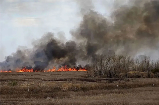 Condenaron a prisión efectiva a responsables de incendios en islas entrerrianas