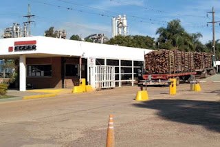 EGGER presentará informes ambientales relacionados a su operación en Concordia