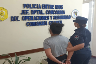 Una mujer detenida tras allanamiento en la zona del Masvernat