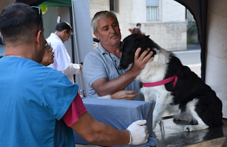 El programa de esterilizaciones gratuitas atenderá en La Bianca