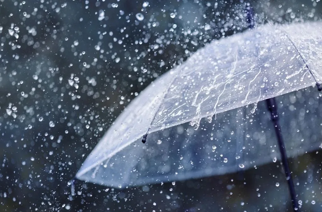 Anuncian tormentas con posibles ráfagas y caída de granizo en diez departamentos de la provincia