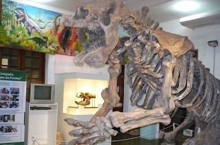 Nueva edición de “La Noche de las Linternas” en el Museo de Antropoligía