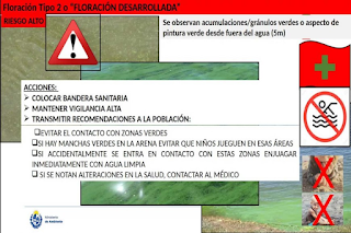 Salto inhabilitó playas del lago tras detectar “floración desarrollada” de algas