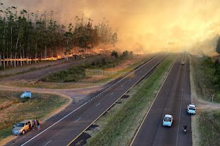 Impactantes imágenes del gran incendio que atravesó la Ruta 14 afectando forestaciones y quintas