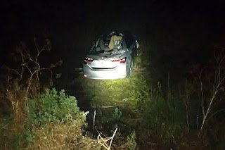 Salto: Una concordiense perdió la vida tras chocar con caballos en la ruta