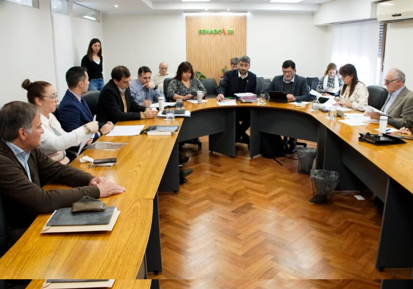Habrá audiencias públicas para cargos en el CGE